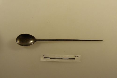 Cucchiaino (coclear)