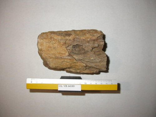 fossile - RONCA' (VERONA)