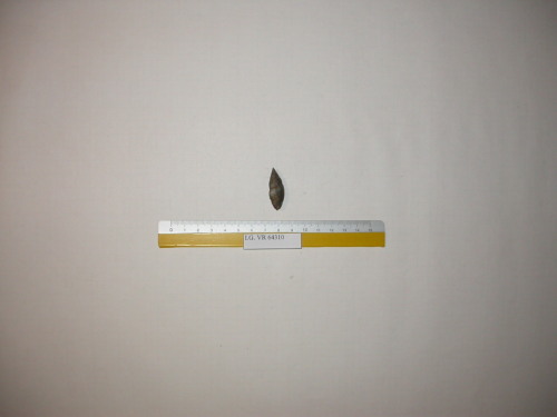 fossile - RONCA' (VERONA)