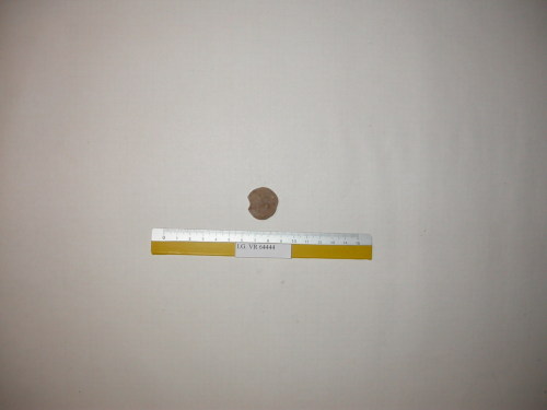 fossile - RONCA' (VERONA)