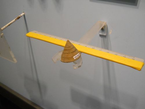 fossile -  ( RONCA' , VR ) VESTENANOVA (VERONA)