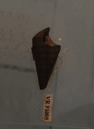 fossile -  ( RONCA' , VR ) VESTENANOVA (VERONA)