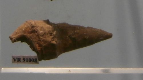 fossile -  ( RONCA' , VR ) VESTENANOVA (VERONA)