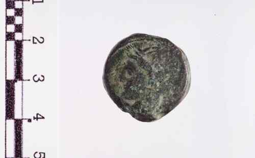 bronzo (serie: Greca)  264 a.C. - 241 a.C. zecca non determinata (Sardegna)