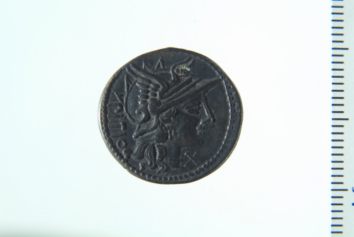 Denario (serie: Romana repubblicana) L. Sempronius Pitio 148 a.C. - 148 a.C. Roma