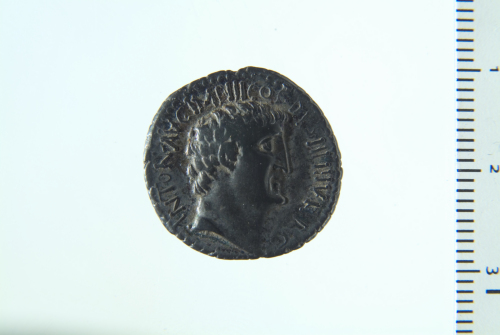 Denario (serie: Romana repubblicana) M. Antonio e M. Silanus 33 a.C. - 33 a.C. zecca al seguito di Antonio