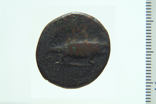 AE (serie: Romana provinciale) Crassus 40 a.C. - 34 a.C. Cnossus(?)