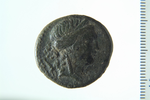 AE (serie: Romana provinciale) Q. Oppius pr. 50 a.C. - 40 a.C. (?)