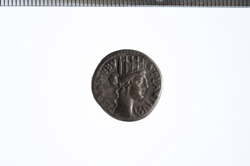 Denario (serie: Romana repubblicana) A.PLAVTIVS AED.CVR 55 a.C. - 55 a.C. Roma