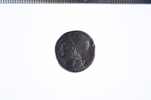 Denario (serie: Romana repubblicana) M.BAEBI.Q.F. 137 a.C. - 137 a.C. Roma