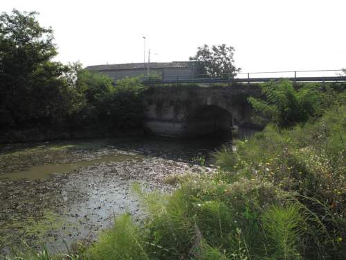 Ponte Magherino: ponte (demaniale)  / ambito rodigino polesano - periodo ottocentesco - TRECENTA (ROVIGO) 