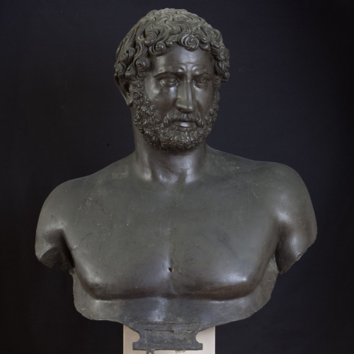 busto maschile / Adriano / epoca rinascimentale/ sec. XVI d.C. 