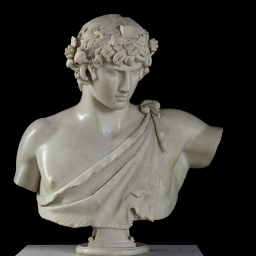 busto maschile / Antinoo / Età rinascimentale/ secc. XIV d.C./ XVI d.C. 